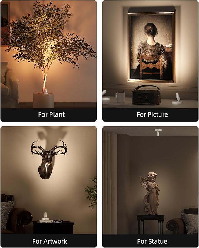 EZVALO Spot Lights Indoor,5500mAh Rechargeable Plants Spotlights with Remote,Wireless Mini Art Accent Spot Lights with Timer＆Dimmable, 3CCT, Uplights Indoor for Plants,Display,Artwork(4Pack-White)-Ruum Studio Home