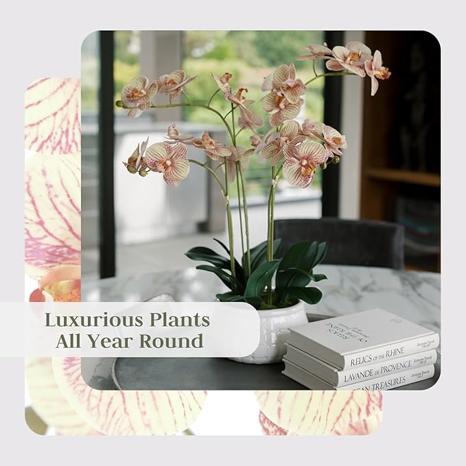 Faux Orange Orchid Plant, Premium Artificial Indoor Flower Display Stands 23”, Beautiful Sculptural Blooms That Lasts Forever, White Planter Pot Included-Ruum Studio Home
