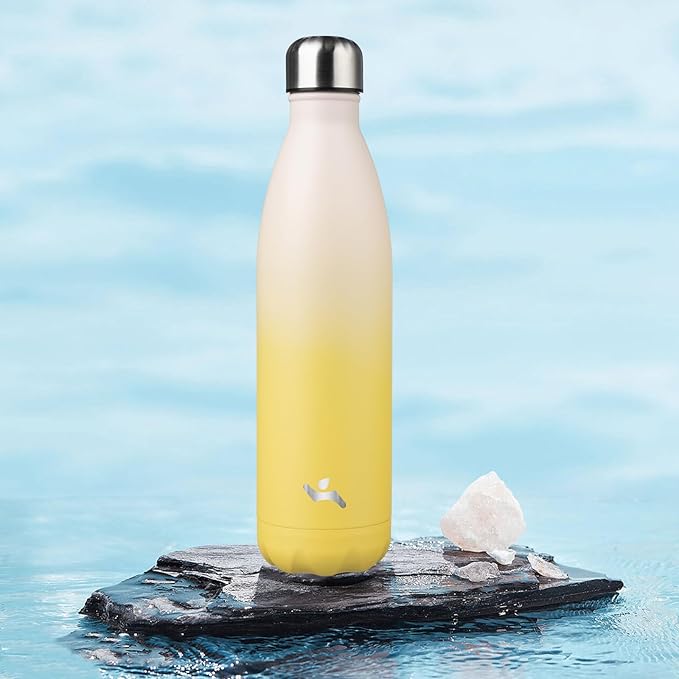 Insulated Water Bottles,25 oz Double Wall Stainless Steel Vacumm Metal Flask for Sports Travel,Lemon-Ruum Studio Home