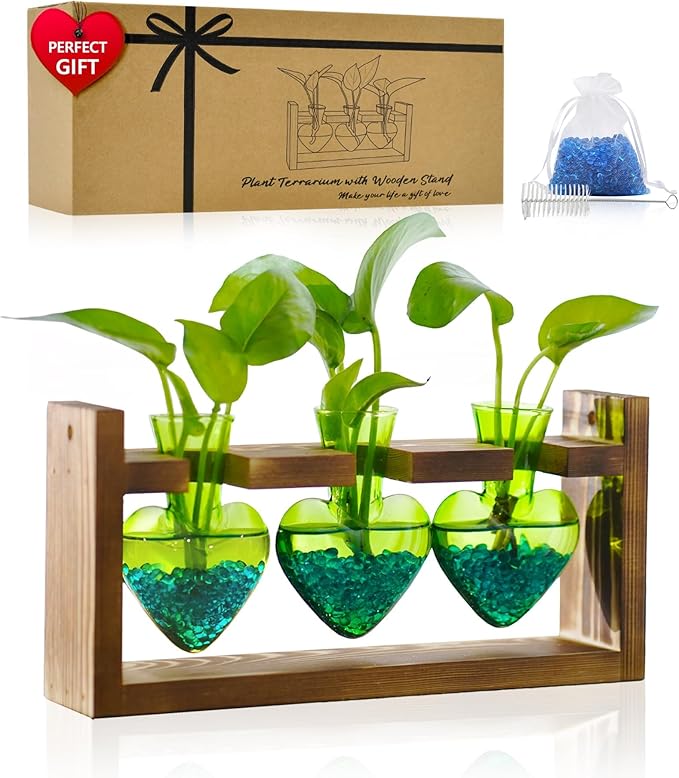 Nacome Plant Terrarium for Office Decor: Birthday Gifts for Plant Lovers Women Mom Wife - Wooden Stand Tabletop Planter 3 Bulb Glass Vase Heart Shaped for Hydroponics Indoor Home(Green)-Ruum Studio Home