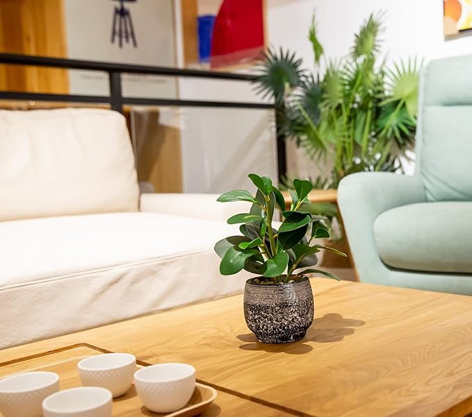 AlphaAcc Artificial Plants Potted Real Looking Small Faux Plant with Rustic Black Cement Planter for Kitchen Office Desk Bookshelf Decor (Ficus Plant)-Ruum Studio Home