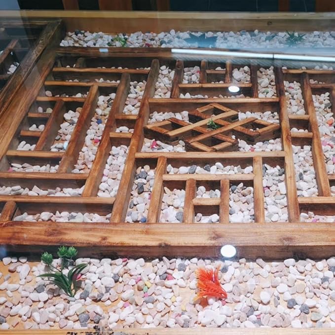 10LB Succulent and Cactus Gravel Pebbles, 1/5 Inch Natural Decorative Polished Stones, River Rocks for Plants, Vases, Aquariums, Terrarium and Outdoor Gardening,Mixed Color-Ruum Studio Home