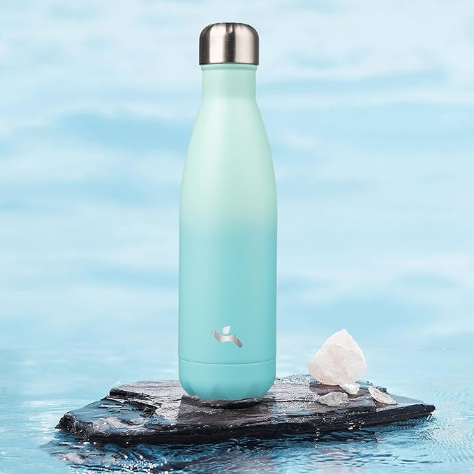 Insulated Water Bottles,17 oz Double Wall Stainless Steel Vacumm Metal Flask for Sports Travel,Mint-Ruum Studio Home