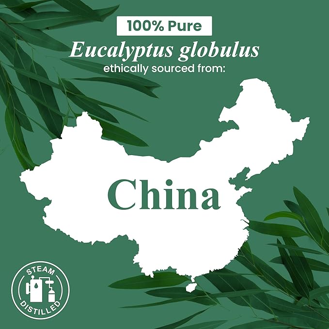 Handcraft Blends Organic Eucalyptus Essential Oil – 1 Fl Oz – 100% Pure and Natural – Premium Grade Essential Oil for Diffuser and Aromatherapy-Ruum Studio Home