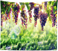 BULOR Vineyard Tapestry Grapes Clusters Wine Rustic Vintage Tapestry Wall Hangings Tapestry for Kids Bedroom Living Room Dorm Man Cave Background(60x40 Inch)-Ruum Studio Home