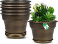 Plant Planters Pots Set of 6 Pack 6 Inch, Plastic Flower Pot for Indoor Plants with Drainage Holes & Trays, Resin Decorative Container Sets with Saucer for House Outdoor Garden Planters Dark Gold-Ruum Studio Home