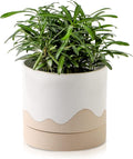 Nihow Ceramic Plant Pot: 6 Inch Planter with Drainage Hole & Saucer for Indoor & Outdoor Plants - Cylinder Round Flower Pot for Succulent/Herbs/Violets - White & Nature-Ruum Studio Home
