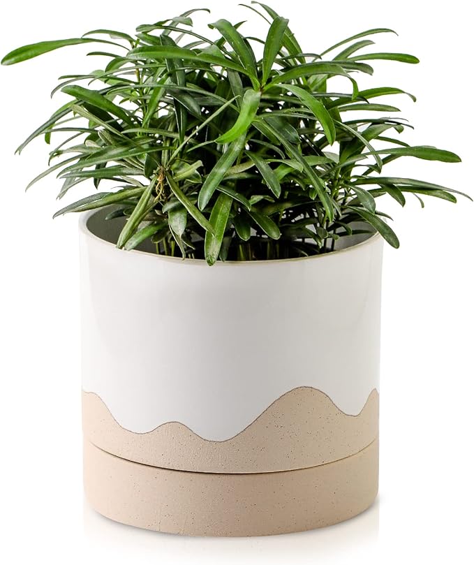 Nihow Ceramic Plant Pot: 6 Inch Planter with Drainage Hole & Saucer for Indoor & Outdoor Plants - Cylinder Round Flower Pot for Succulent/Herbs/Violets - White & Nature-Ruum Studio Home