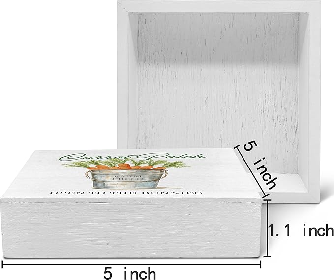 SRADMO Easter Sign, Carrot Patch Easter Wood Box Sign Desk Decor, Easter Carrot Decorations, Farmhouse Easter Theme Wooden Block Box Sign Decoration for Home Office Shelf Table Decor-Ruum Studio Home