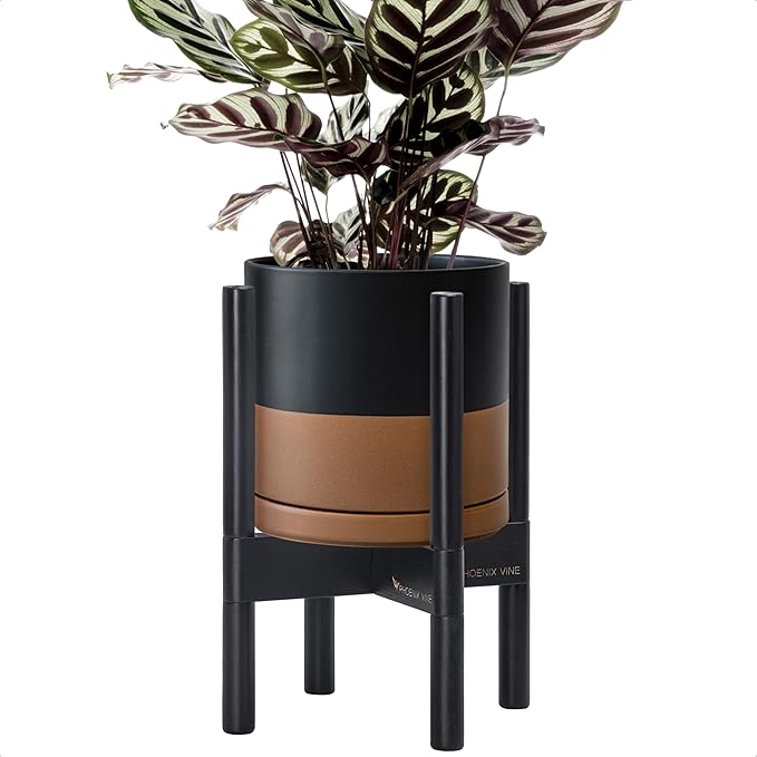 D'vine Dev Ceramic Planter with Ebony Stand - 8 Inch Modern Round Flower Pot with Wood Planter Holder, Black/Speckled Tan, 55-B-M-7-Ruum Studio Home