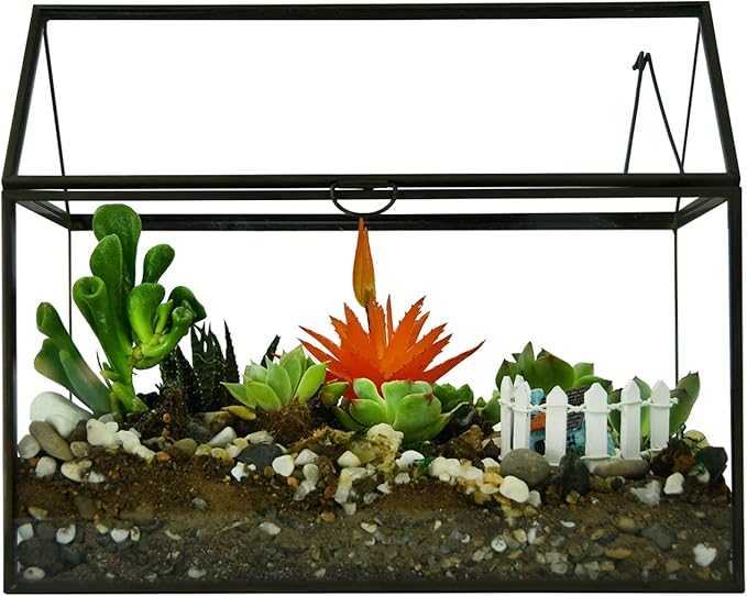 Black 1 Large Glass Plant Terrarium Kit with Lip Greenhouse for Succulents-Ruum Studio Home