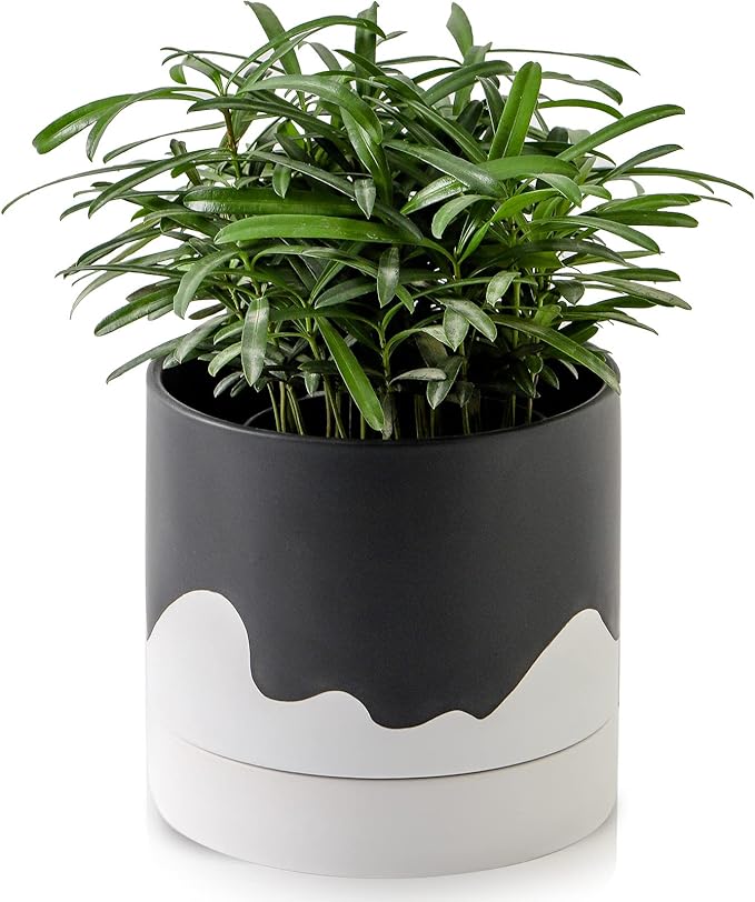 Nihow Ceramic Plant Pot: 6 Inch Planter with Drainage Hole & Saucer for Indoor & Outdoor Plants - Cylinder Round Flower Pot for Succulent/Herbs/Violets - Black & Wave White-Ruum Studio Home