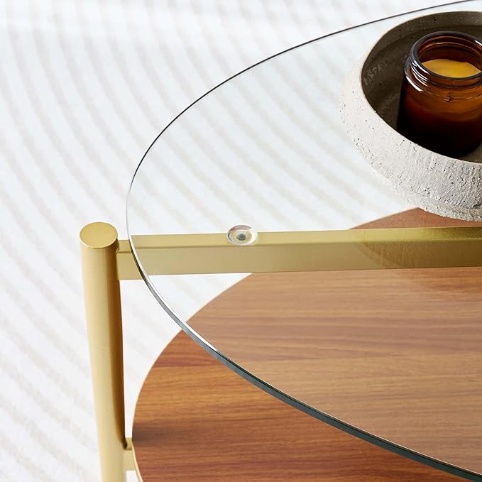 Oval Glass Coffee Table, Mid-Century Modern Design, L43 x W22 x H17 inch, 2-Tier Structure, Olive Shaped Clear Glass Top and Walnut Finish Wood Shelf, Tapered Legs with Gold Finish Frame-Ruum Studio Home