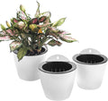 3 Pack Self Watering Wall Hanging Planter Pots Vertical Garden Window Hang Mount Indoor Outdoor Plant Flower Basket for Kitchen Herbs Balcony Railing Shelf Fence Bedroom Trellis Decor Modern White Box-Ruum Studio Home