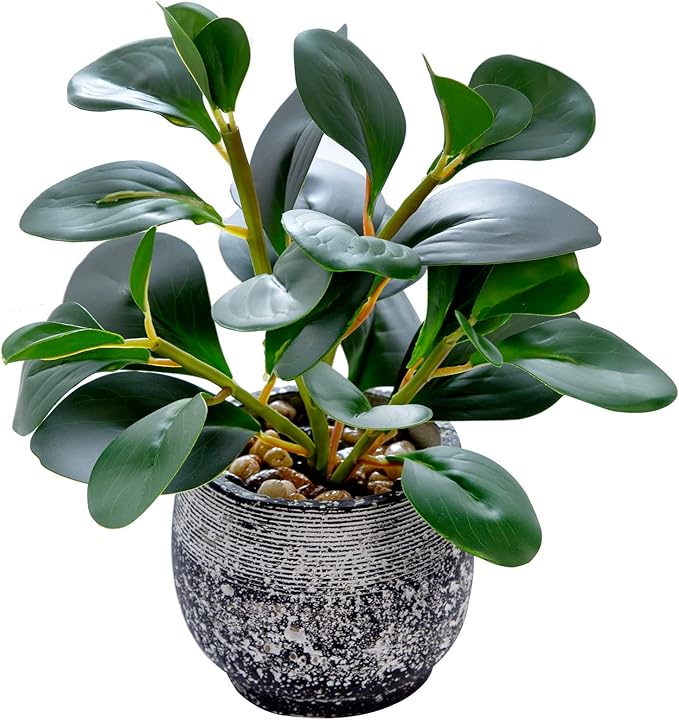 AlphaAcc Artificial Plants Potted Real Looking Small Faux Plant with Rustic Black Cement Planter for Kitchen Office Desk Bookshelf Decor (Ficus Plant)-Ruum Studio Home