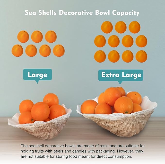 Extra Large Clam Shells Decorative Bowl Earth Tan Sea Shells Decorative Storage Bowls for Coastal Beach theme house table centerpiece decorations & Nautical decorations for coffee table -12.4"-1PC-Ruum Studio Home