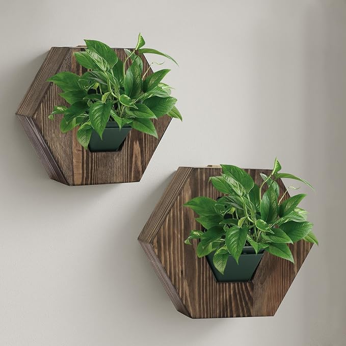 Hexagonal Wooden Wall Planter, Self Watering Living Vertical Planter Indoor, Wooden Frame Planter Wall Decoration Home Office,2pc Walnut-Ruum Studio Home