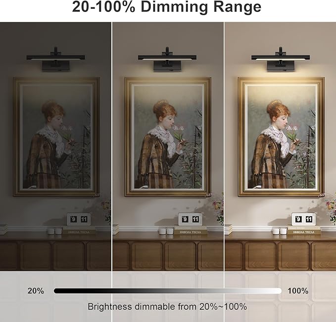 Battery Operated Picture Lights for Wall Black Art Light Wireless Gallery Lights with Timer and Remote 12 Inch 2W Warm White-Ruum Studio Home