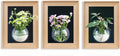 Natural Wooden Frame Wall Hanging Planter for Hydroponic Plants, 12'' x16''inch Wall Vase with Round Acrylic Propagation Station，Bathroom, Office, or Living Room Décor, Set of 3-Ruum Studio Home