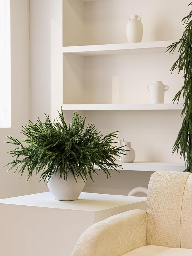 MISSPIN 12 Pcs 21.5 Inches Christmas Norfolk Pine Branches, Norfolk Pine Artificial Christmas Branches DIY Crafts Faux Pine Branches for Xmas Indoor Outdoor Home Decor-Ruum Studio Home