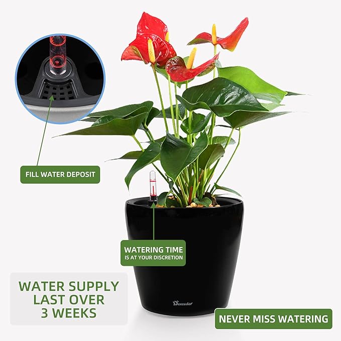 Dexceder 9x8 Inches High Gloss Self Watering Planter Indoor Outdoor, Inner Pot Design, Thickened Table Flower Plant Pot with Water Level Indicator (Black)-Ruum Studio Home