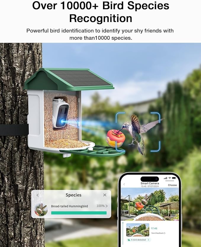 Bird Feeder with Camera-2K Live Video, Solar-Powered, Smart AI Identify Birds, 2L Food Capacity, Arrived Alerts, Bird Videos Storage, Mini Hummingbird Feeder for Watching Birds Outdoor-Ruum Studio Home