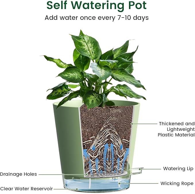 6 inch Self Watering Pots for Indoor Outdoor Plants, 6 Pack Flower Plant Pots with Drainage Holes and Clear Reservoirs, Visible Water Level, Plastic Planters with Wicking Rope, Green-Ruum Studio Home