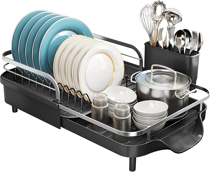 Dish Drying Rack, Expandable Dish Rack for Kitchen Counter, Stainless Steel Dish Drainer with Drainboard Set and Utensil Holder (Black)-Ruum Studio Home