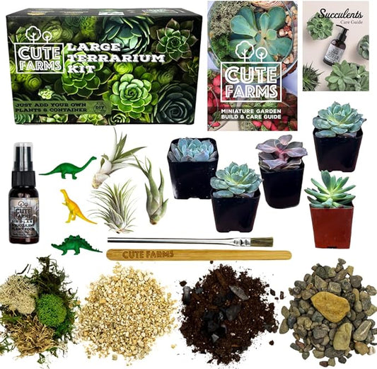 Cute Farms Terrarium Starter Kit | Moss, Vermiculite, Soil, Pebbles, Plant Food, & Finishing Tools (Large + 8 Live Plants)-Ruum Studio Home