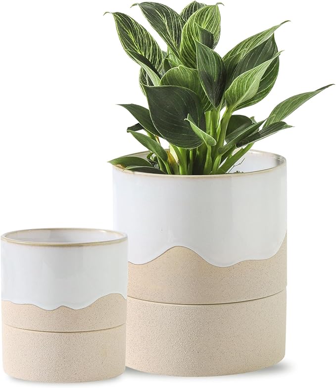 Nihow Self Watering Plant Pot for Indoor Plants: 4.5+6 Inch Ceramic Planter with Drainage Hole & Water Storage Plus - Cylinder Flower Pot with Wick for Herbs -White & Nature-Ruum Studio Home
