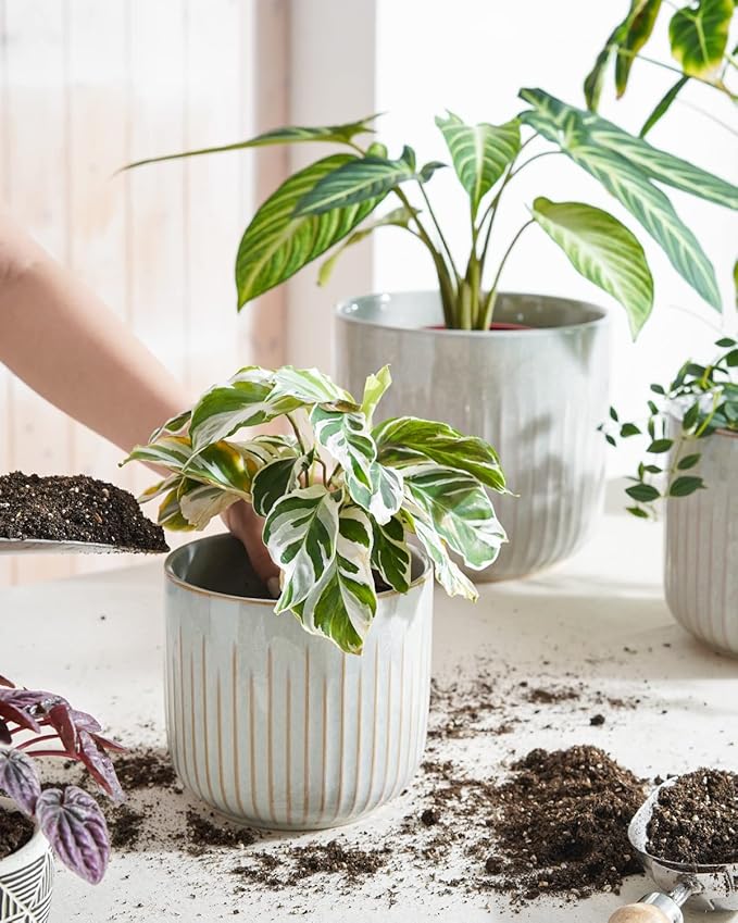 LE TAUCI Fluted Ceramic Planters Set of 3 – 8.3/7 / 5.7 in Star White Reactive Cylinder Indoor Plant Pots with Drainage Plug & Mesh, Glossy Stoneware Flower Pots for Succulents Herbs-Ruum Studio Home