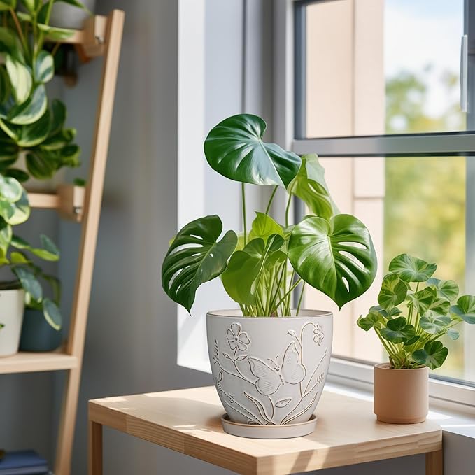6 Inch Ceramic Plant Pot for Indoor Plants Outdoor Round Planter Flower Pot with Drainage Hole and Saucer for Home Garden Office Decor White-Ruum Studio Home
