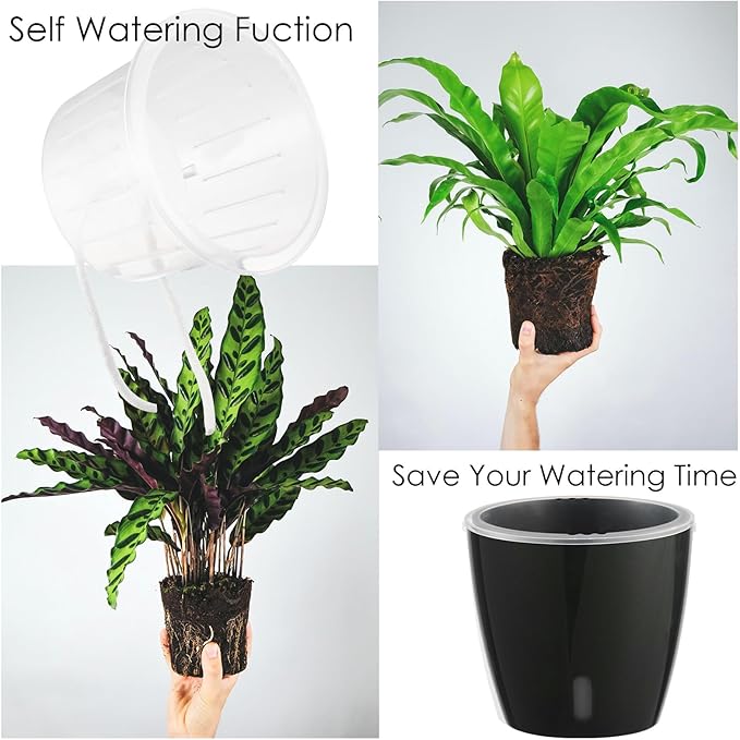 Self-Watering Pots for Indoor Plants, 6-Pack 6.7'' Self Watering Planter with Drainage Holes, Small African Violet Pots with Water Indicator, Clear Wick Pot, Black-Ruum Studio Home