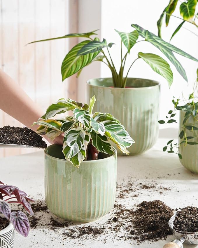 LE TAUCI Fluted Ceramic Planters Set of 3 – 8.3/7 / 5.7 in Sage Green Reactive Cylinder Indoor Plant Pots with Drainage Plug & Mesh, Glossy Stoneware Flower Pots for Succulents Herbs-Ruum Studio Home