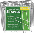 Landscape Staples Galvanized 8 Inch 120 Pcs, Metal Garden Stakes 1.6 Inch, Garden Staples for Lawn 11 Gauge-Ruum Studio Home