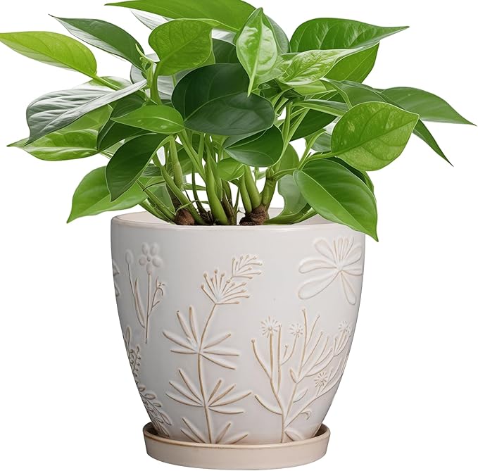 6.9 Inch Ceramic Plant Pot for Indoor Plants Outdoor Round Planter Flower Pot with Drainage Hole and Saucer for Home Garden Office Decor White-Ruum Studio Home