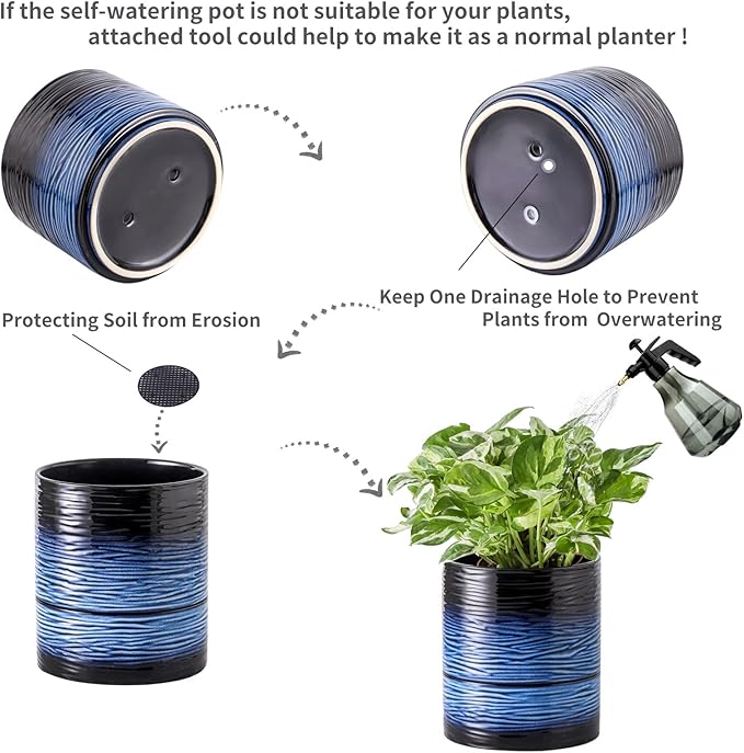 Nihow Self Watering Plant Pot: 6 Inch Ceramic Planter with Drainage Hole & Water Storage Plus for Indoor & Outdoor Plants - Cylinder Round Flower Pot for Succulent/Herbs/Violets - Black & Vivid Blue-Ruum Studio Home