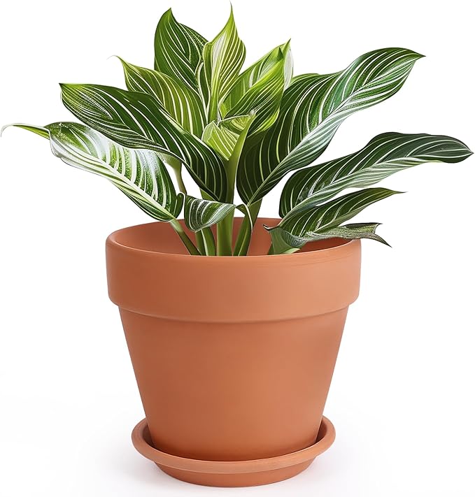 INGOFIN Terracotta Pot with Saucer - 10 Inch Ceramic Clay Pot for Plants with Drainage Hole, Large Terra Cotta Flower Planter with Tray for Indoor Outdoor Plants-Ruum Studio Home