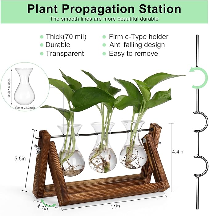YIBOT Propagation Stations,Plant Terrarium with Retro Wooden Stand, Unique Gardening Birthday Gifts for Women Plant Lovers, Hydroponics Plants Home Office Garden Decor - 3 Bulb Glass Vases-Ruum Studio Home