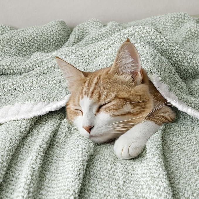 MIULEE Sage Green Super Soft Throw Blanket for Bed, Twin Size Cozy Fluffy Warm Blankets Knit Blankets for Couch, Sofa, Chair, Living Room, Camping, Picnic, 60 x 80 inch-Ruum Studio Home