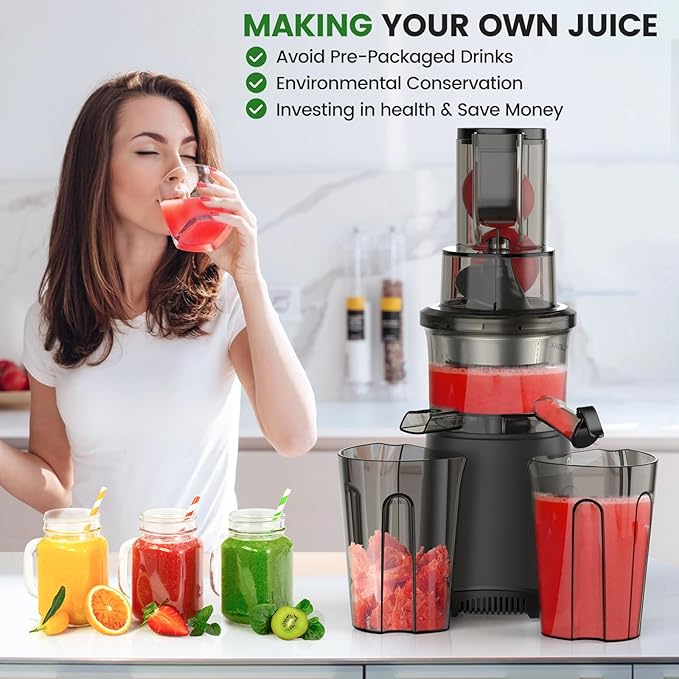 Slow Masticating Cold Press Juicer: Cold Pressed Juicer Machines For Vegetable And Fruit 200W, Matte Grey-Ruum Studio Home
