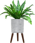 Flower Pot with Legs Tall Flower Pot with Drainage Holes for Indoor and Outdoor Decorative Planting (Gray Wave, 10 Inches)-Ruum Studio Home