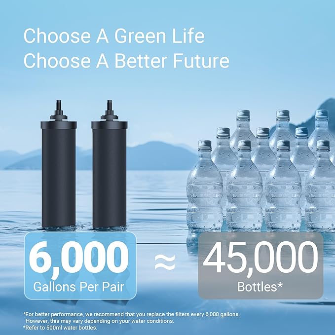 [New Upgraded Ultrafiltration] AQUACREST Black Water Filter, Replacement for Berkey® BB9-2® Black Purification Elements, Berkey® Gravity Water Filter System, 2 Pack-Ruum Studio Home