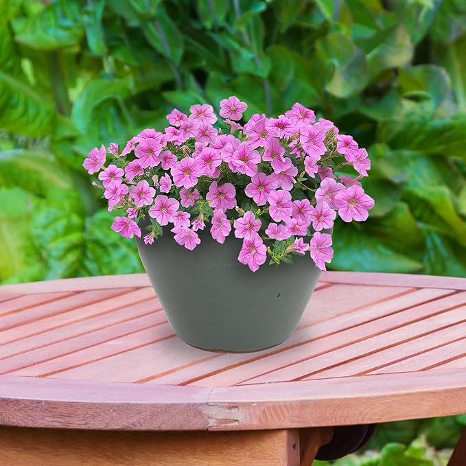 Sunnydaze Chalet Large Ceramic Plant Pot - Round Outdoor Glazed Ceramic Planter Pot with Drainage - Gray - 14.5"-Ruum Studio Home