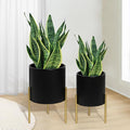 ARNIS Modern Planter Pots, Set of 2 Round Large Planters with Stand, Decorative Planters, Metal Pots with Drainage Holes for Living Room, Office, Garden or Balcony, 8.25 &10.5 Inch, Black & Gold-Ruum Studio Home