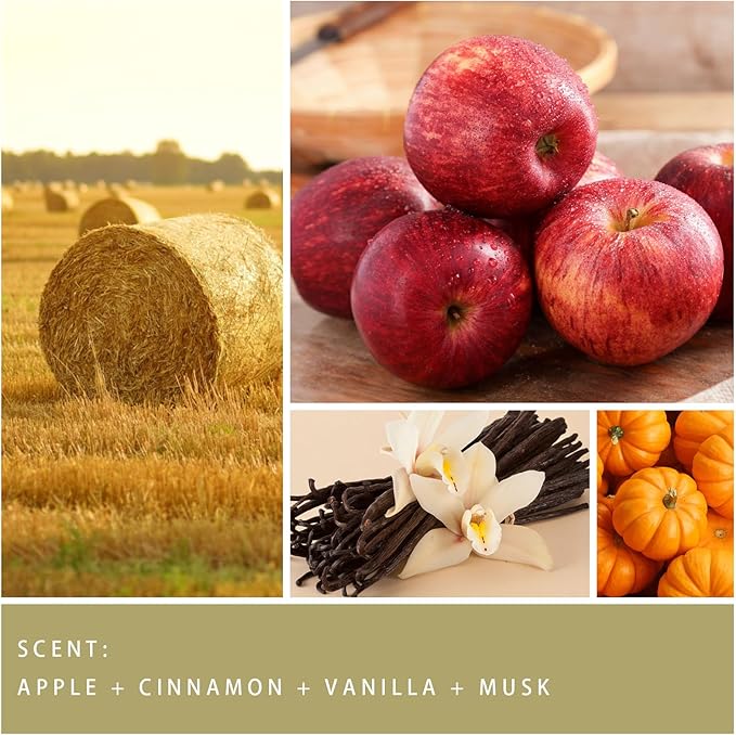 Fall Candle - Harvest Season Scented Candle, Fall Soy Candles for Home Decor, 7 oz Natural Soy Wax – Long-Lasting Autumn Candles, Aromatherapy Gift for Women & Thanksgiving, 7oz-Ruum Studio Home