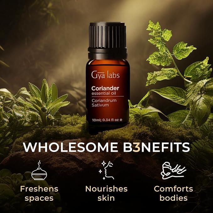 Gya Labs Coriander Essential Oil for Diffuser - 0.34 Fl Oz - 100% Pure Natural Coriander Oil for Skin, Aromatherapy, Skincare Massages & Candle Making Scent-Ruum Studio Home