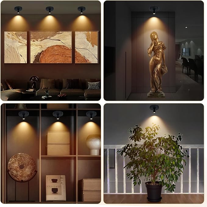 Cordless Spotlight Battery Powered, Indoor Plant Spot Light, Rechargeable Picture Lights with Remote, LED Accent Lighting, Dimmable Display Uplight for Tree Dartboard Decor Painting Art Photo-Ruum Studio Home