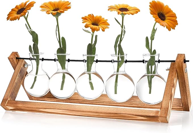 Retro Wood Stand Plant Terrarium with 5 Air Planter Bulb Glass Vases, Perfect for Home, Office, or Wedding Decor. Great Desktop Propagation Station and Plant Lover Gift for Women (5 Bulb Vase)-Ruum Studio Home