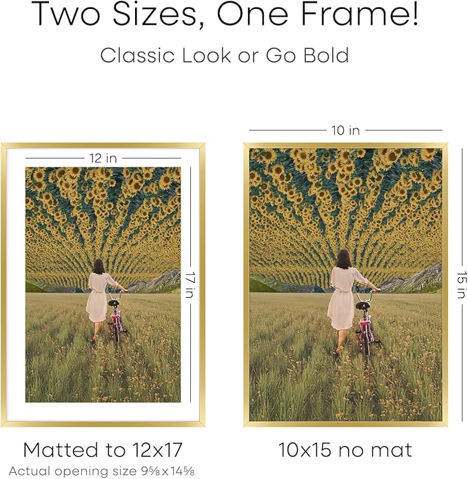 Homeforia 12x17 Picture Frame Gold, High End Metal 12x17 Poster Frames with Mat 10x15 Photo, 12 x 17 Gold Frame Matted to 10 by 15 Print, 17by12 Thin Hanging Frames, Tempered Glass, Wall Kit, Set of 1-Ruum Studio Home
